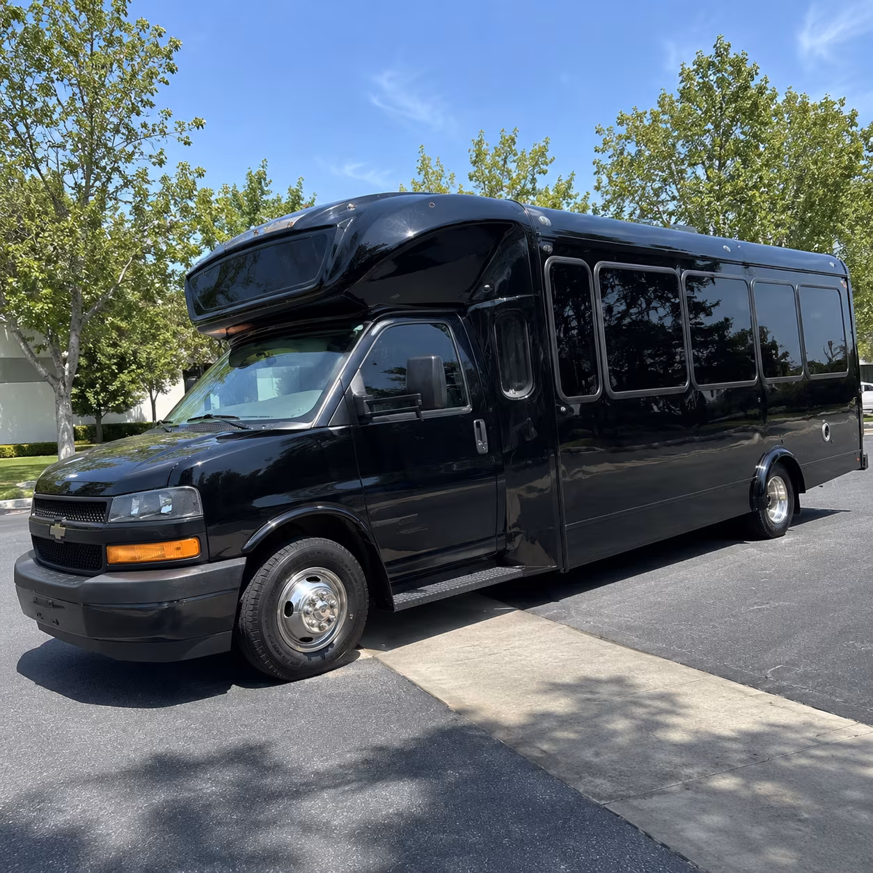 Group beside a Mercedes Sprinter limo in Huntington Beach