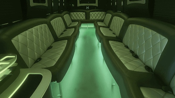 30 passenger party bus interior