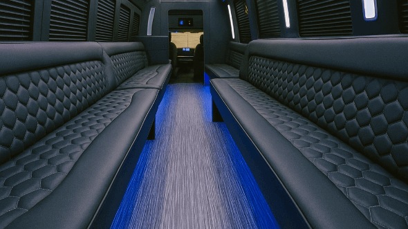 40 passenger party bus interior