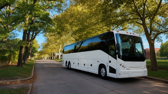 garden grove bachelor and bachelorette party bus rentals